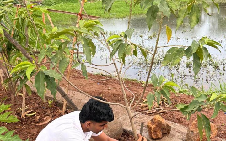 59a72123-5d22-4d65-b33a-965368cb890c