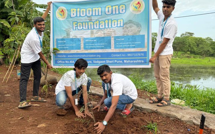 dc799634-ad8a-4841-a861-ad55dd13081b