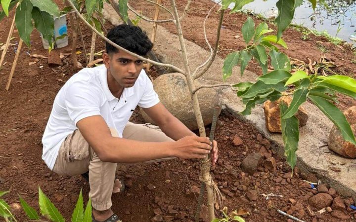 eb9b79a1-ad2b-4f43-9a32-a3fa15b0ce61